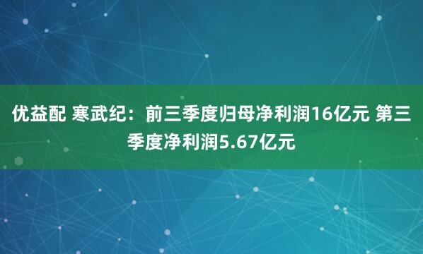 优益配 寒武纪：前三季度归母净利润16亿元 第三季度净利润5.67亿元