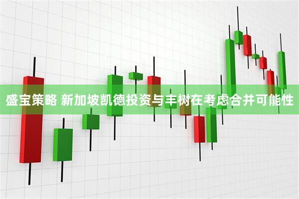 盛宝策略 新加坡凯德投资与丰树在考虑合并可能性