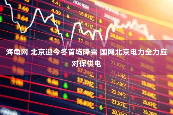 海龟网 北京迎今冬首场降雪 国网北京电力全力应对保供电