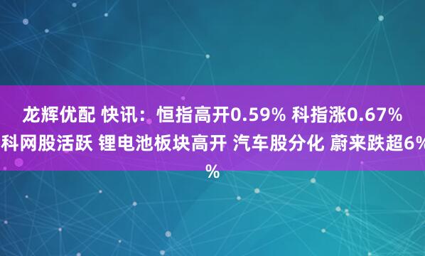龙辉优配 快讯：恒指高开0.59% 科指涨0.67% 科网股活跃 锂电池板块高开 汽车股分化 蔚来跌超6%