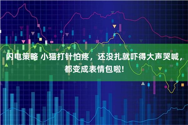 闪电策略 小猫打针怕疼，还没扎就吓得大声哭喊，都变成表情包啦!
