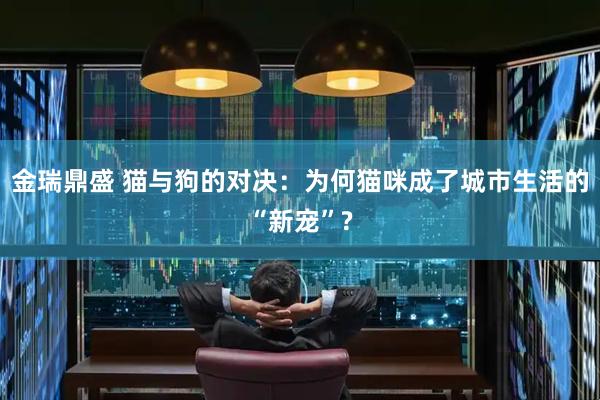 金瑞鼎盛 猫与狗的对决：为何猫咪成了城市生活的“新宠”?