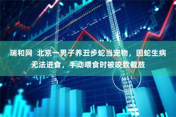 瑞和网  北京一男子养五步蛇当宠物，因蛇生病无法进食，手动喂食时被咬致截肢